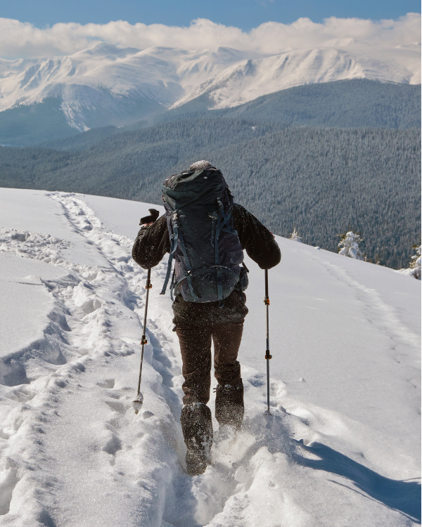 Chopta Trek in Uttarakhand